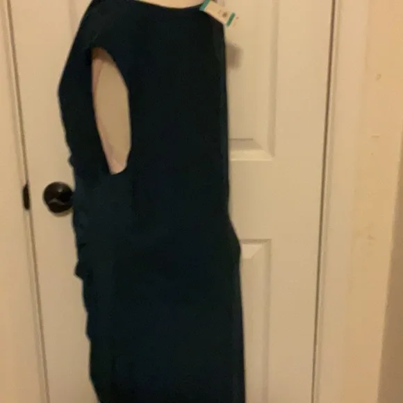 ANNE KLEIN Juniper Dress Size 16 NWT Retail $99 LAST ONE - Picture 5 of 6